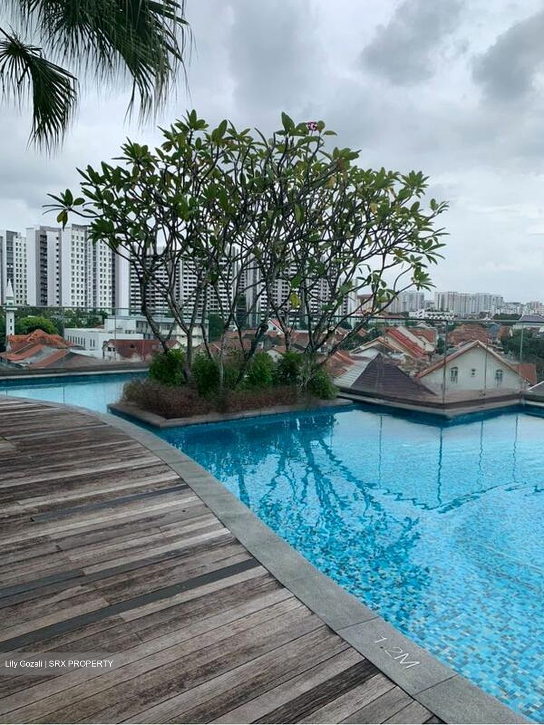 Sennett Residence (D13), Condominium #475810731